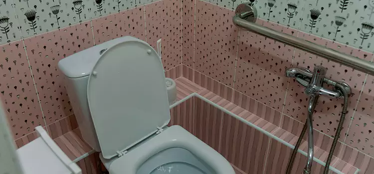 Meeting Diverse Needs With Accessible Restroom Solutions in Titusville, FL